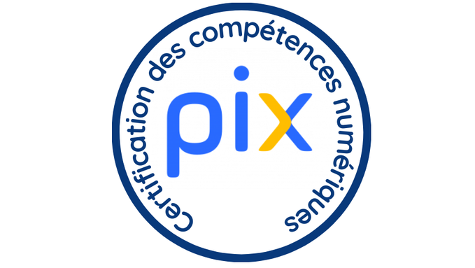 Logo Pix fdblanc